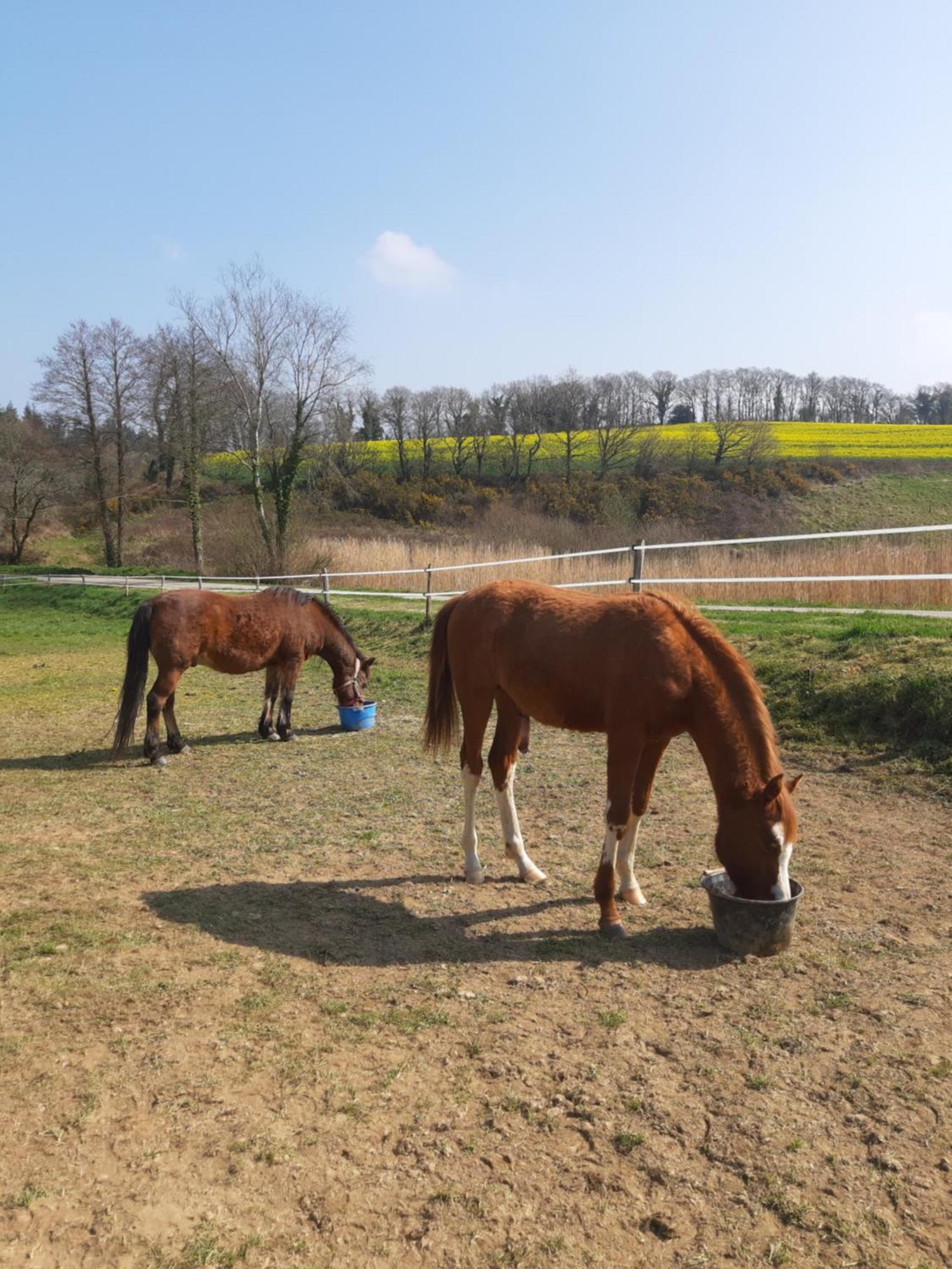 Gite De Bealieu Briec Buitenkant foto